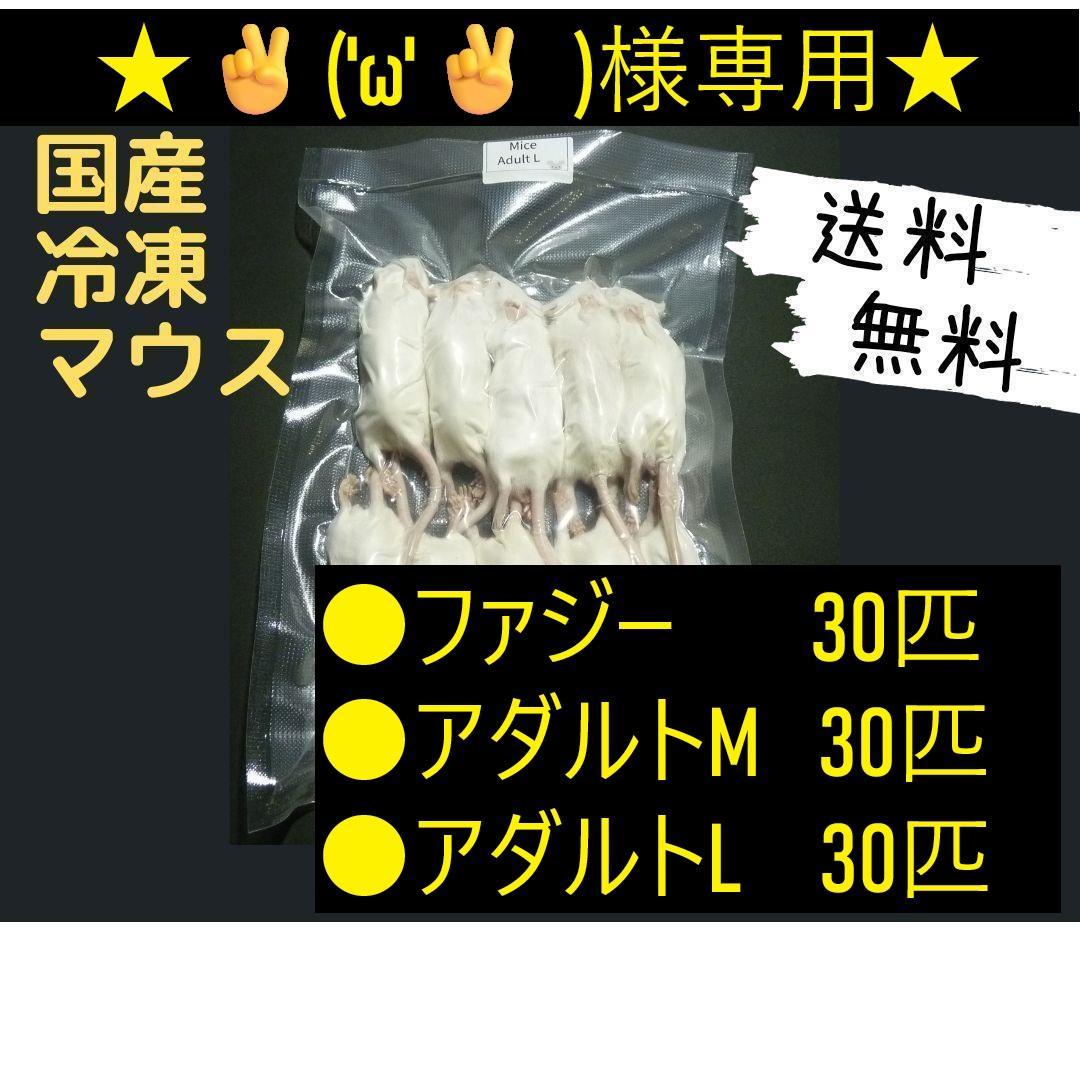 ★✌︎('ω'✌︎ )★国産冷凍マウス リクエスト品